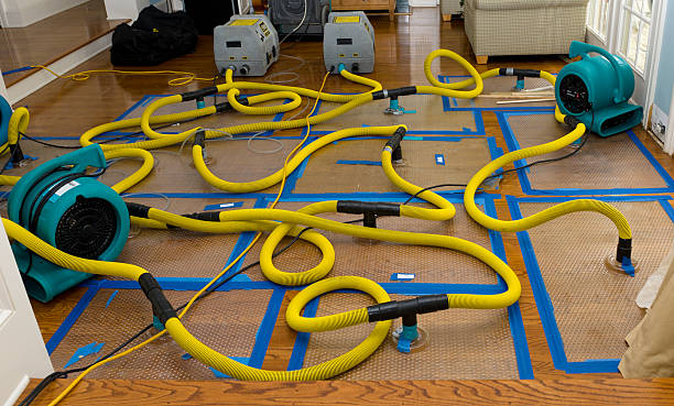 Professional Basement Flood Cleanup technician working in Berlin, MA